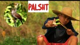 Watch THIS Incredible Filipino Slingshot in Action! | Farm Life Episode 2