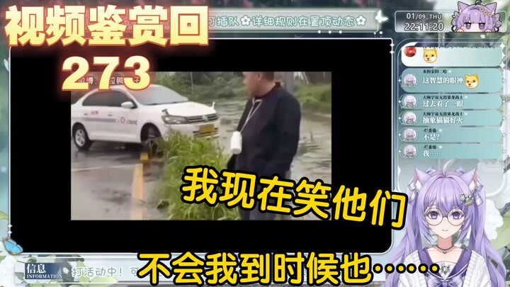 【凉笙不打嗝】紫色猫猫看《教 练 骂 人 的 原 因 找 到 了》笑的停不下来