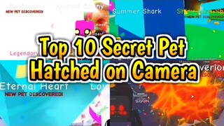 Top 10 SECRET Pet HATCHED In Bubblegum Simulator! (Roblox)