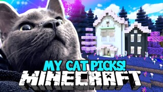 💙 My CAT Picks My Minecraft Build!