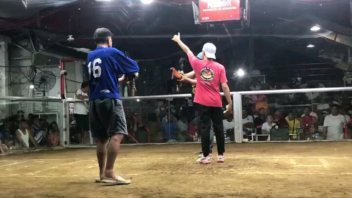 4x Winner Talisayin. Showtime 😊💪