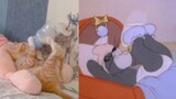 "Như chúng ta đã biết, Tom và Jerry không chỉ là phim hoạt hình mà còn là phim tài liệu"