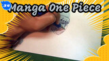 Kompilasi Manga One Piece | Video Repost_34