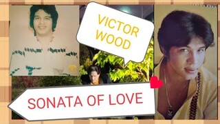 SONATA OF LOVE with LYRICS | VICTOR WOOD #OldiesbutGoodies #BringbackMemories