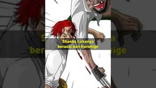 Luka Iconic di Dunia One Piece Memiliki Arti❗#shorts #onepiece #mihawk #luffy #zoro #shanks #akainu