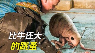 国王养了只跳蚤当宠物，没想到它长得比牛还大