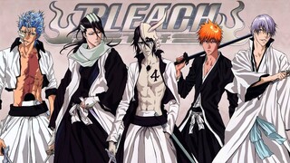 Bleach-ending 13