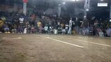 3cock derby firsts fight