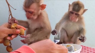 Little Toto & Yaya are joyful eating fresh fruit together