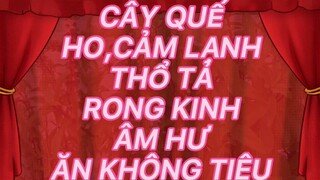 CÂY QUẾ -HO-CẢM LẠNH-THỔ TẢ-RONG KINH-ÂM HƯ-ĂN KHÔNG TIÊU.