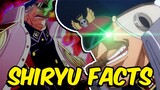 Facts about Shiryu of the Rain, Blackbeard Vice-Captain