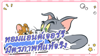 [ทอมแอนด์เจอร์รี] อาจเป็นมิตรภาพที่แท้จริง