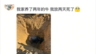 家里一堆破烂都来陷害我，真不是我弄坏的