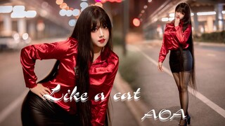 【Kazami】 Cat Walks Quietly-AOA 【Chú mèo béo ăn cắp trái tim Người nuôi tiên cá HB2】