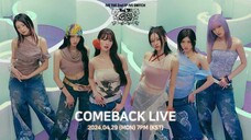 ALL MEMBERS (IVE/IVE THE 2nd EP 〈IVE SWITCH〉 COMEBACK/YouTube Live/2024.04.29)