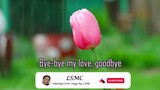 Bye Bye Love