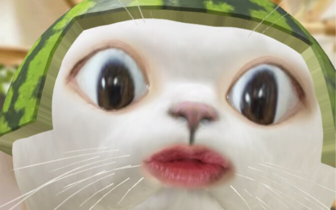 你们最喜欢的西瓜喵来咯…～