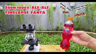 EKSPERIMEN: FANTA