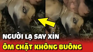 Chú chó BẤT LỰC vì bị người lạ SAY XỈN ôm chặt mình giữa đường 😂 | Yêu Lu