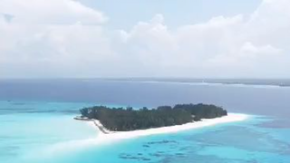 Enjoy the zanzibar tours and excursions
