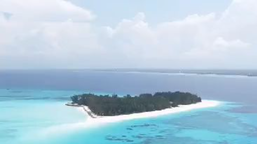 Enjoy the zanzibar tours and excursions