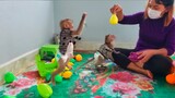 Most Playful Monkey Toto & Yaya Happy Play With Mom Amusingly