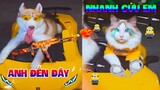 Thú Cưng Vlog | Ngáo Husky Và Mèo Bạch Tuyết #2 | Chó mèo thông minh vui nhộn | Smart dog cat funny
