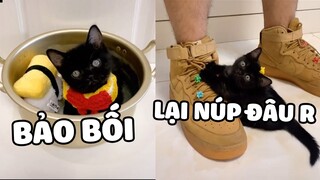 Chưa Thấy MỒN LÈO Nào Vừa Đen Vừa Đáng Yêu Như Này 😘 | Pets TV