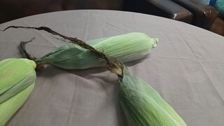 peel four corns from kind neigbour. 🤤