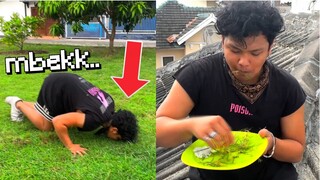 Gw Makan RUMPUT Kaya KAMBING ... (ditambah nasi dan tempe)