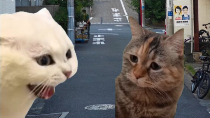 [整活]猎罪图鉴2但猫meme