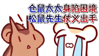 【鼠糖】仓鼠：我该怎么办啊？松鼠：我来了！