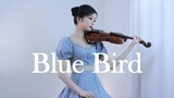 Naruto Shippuden - Blue Bird - Violin Cover