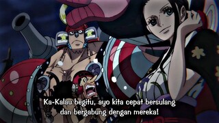 Aliansi Mugiwara Dengan Samurai Negri Wano, Suku Mink & Bajak laut Law