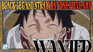 Black Leg and Straw Hat One Pieve AMV.2