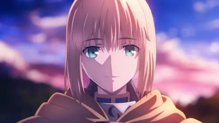 [MAD]Ideal and justice manifested in the <Fate> series