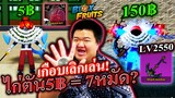 สุ่มไก่ตันเกือบได้เลิกเล่นแต่ 7หมัดแตกเป็นว่าเล่น! - Roblox Blox Fruits 🩸