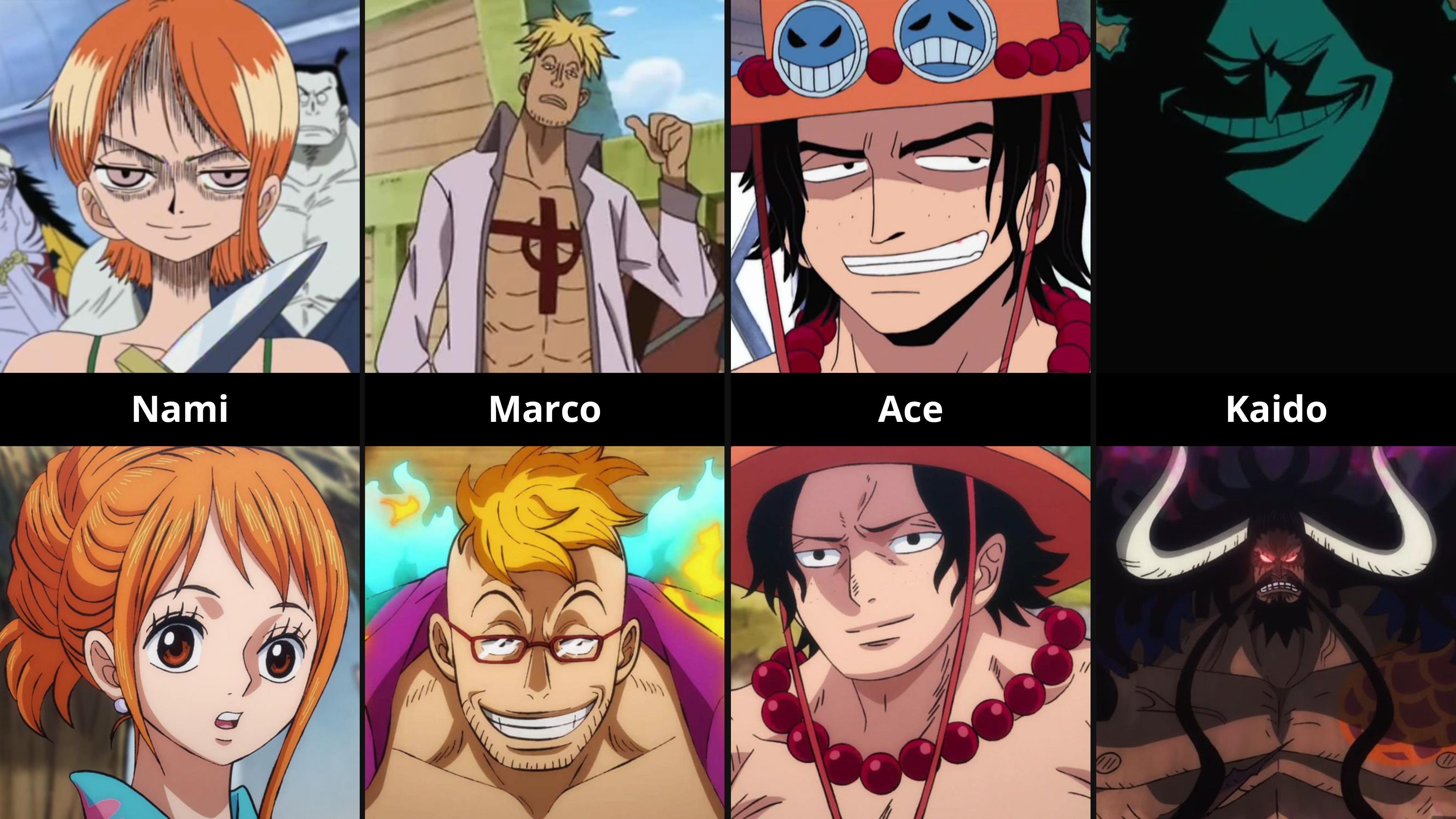 Age of One Piece Characters - BiliBili