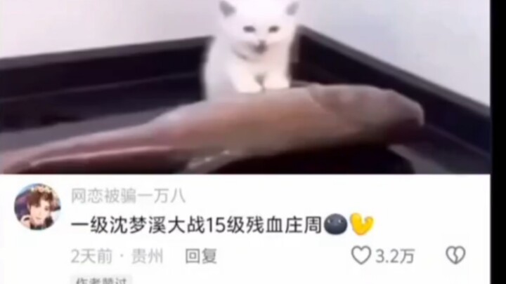 😹：什么我打宿傩😱😱