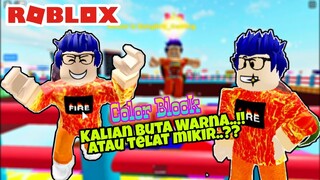 YANG JATUH BERARTI DIA BUTA WARNA - ROBLOX COLOR BLOCK