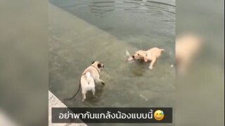 ดูเพลินๆดีนะเนี่ย