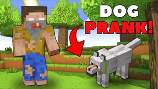 I Pranked My Friend as a DOG in Minecraft!