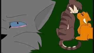 Ashfur Killed The Rock - Warriors AMV (CW: Flash, Blood) (By Maycie1)