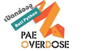 [เลี้ยงงู]EP11 เปิดกล่องงูบอลไพธ่อน l unboxing ball python by Pae Overdose