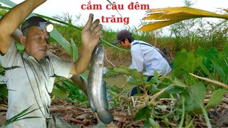 CĂM CÂU KHU CHÒI ÔNG 6 LÚC NỮA ĐÊM TƯỞNG RẰNG KHÔNG CÓ BẤT NGỜ MỘT ĐÊM MAY MẮN