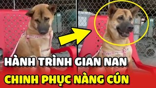 Gian nan với hành trình "CUA" nàng chó CHẢNH NHẤT Việt Nam 😂 | Yêu Lu