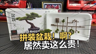 树杈子也能出拼装？均价100块的拼装盆栽体验把玩分享！【电动爷们】