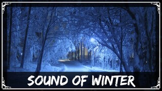 [Undertronic Original] SharaX - Sound of Winter (Cider, Chronos & Zephyr Vocals)