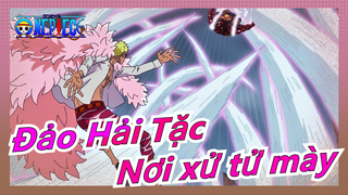 [Đảo Hải Tặc] "Doflamingo, mày thao túng nhà vua lừa cả thế giới, đây là nơi xử tử mày!"