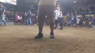 Duke Lemon cross in action